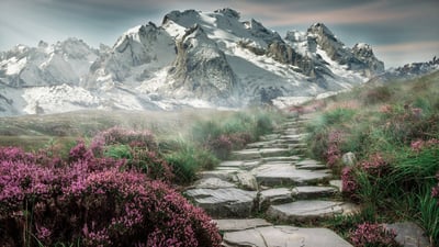 Was sind die besten Strategien für passives Einkommen?